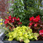 moto z camera samples