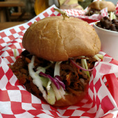 moto z camera samples