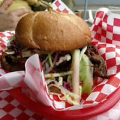 moto z camera samples