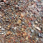 note 7 camera samples-3