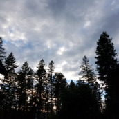 note 7 camera samples-5