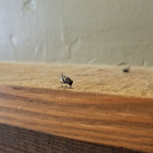 note 7 camera samples-6