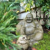 pixel camera review samples