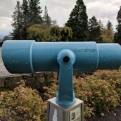 pixel camera review samples