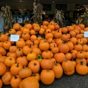 pixel camera review samples