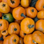 pixel camera review samples