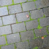 pixel camera review samples