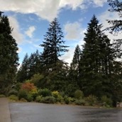 pixel camera review samples