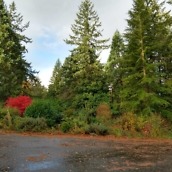 moto x4 camera samples