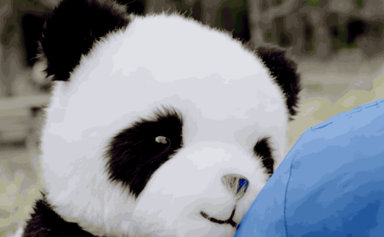 Our April Fools’ Day 2015 Round-Up – Google, Samsung, and More