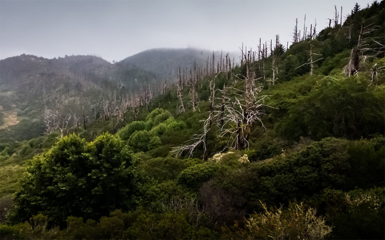 Lightroom for Android Update Includes Pro Camera Mode, Widget