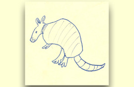 google fuchsia armadillo