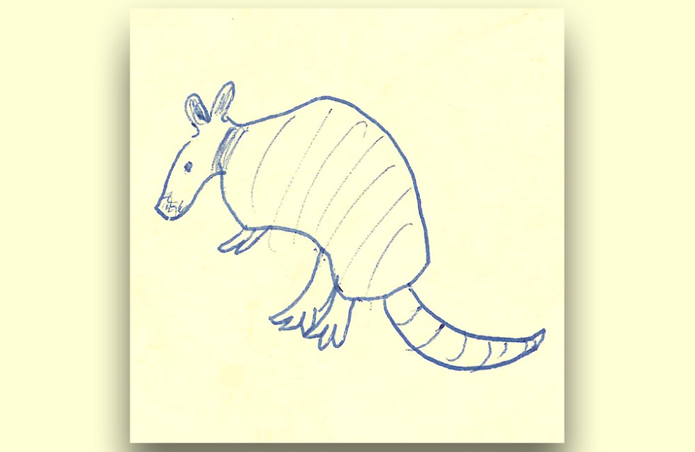 google fuchsia armadillo