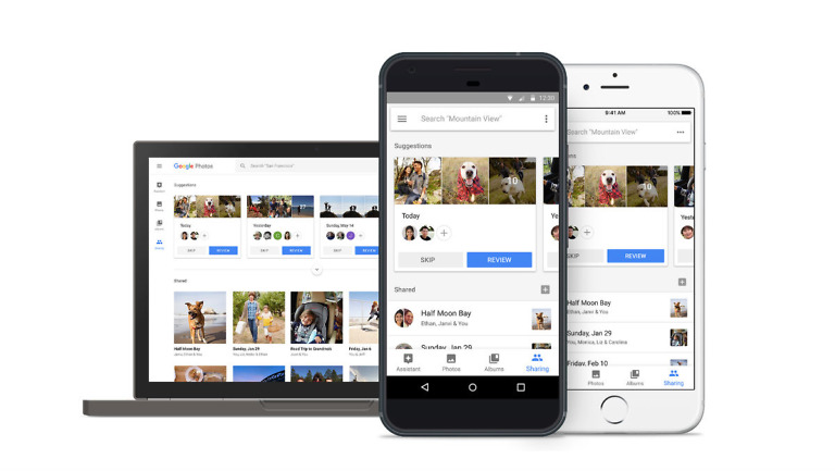 Suggested Sharing and Shared Libraries Rolling Out to Google Photos
