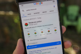 Pollen Forecasts in Google Search