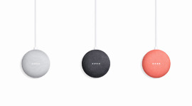 google home mini colors
