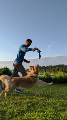 Pixel 4 Camera Sample