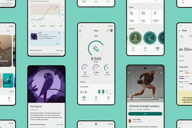 Fitbit App and Its New Design Arrive Today