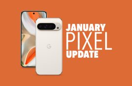 JANUARY 2025 PIXEL UPDATE - DOWNLOAD