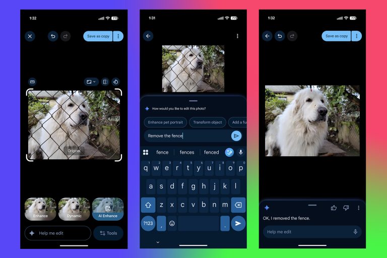 Gemini Really Good at Removing Fences From Your Photos