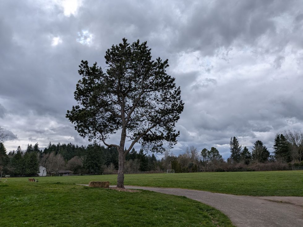 Pixel 10a Camera Samples-1